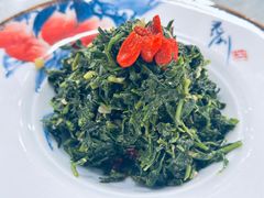 凉拌枸杞芽-小叶手抓(解放东街店)