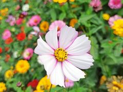 -共青国家森林公园-售票处