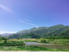 -大九湖