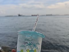 -亚洲大陆最南端