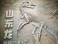 -山东博物馆