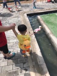 -上美四季动物农场