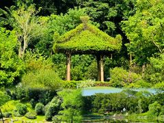 -云溪植物园