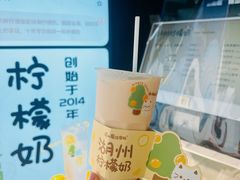 柠檬奶-猫的魔法密林(衣裳街店)