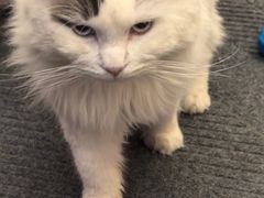 -鸥迪足道会馆(北京街店)