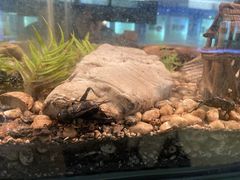 -上海昆虫博物馆