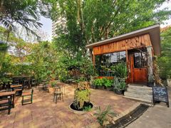 -Fern Forest Cafe