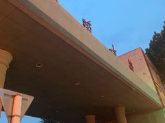 -安徽大学(龙河校区)