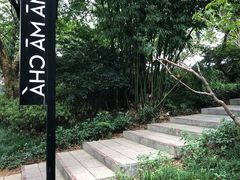 -MAMACHA妈妈茶(岳麓山店)