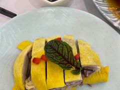 -新名仕新白玉兰餐厅