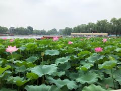 -小王府(什刹海店)