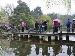 -西湖外事游船(花港观鱼码头)