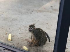 -长白岛森林公园