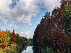 -上海长兴岛郊野公园