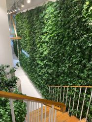 -悦诗风吟innisfree