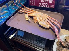 -忆江南·临江鱼馆