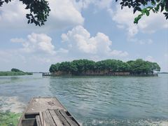 -同里湖度假村(二期店)