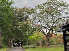 -中国科学院西双版纳热带植物园