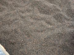 -三江森林温泉度假区