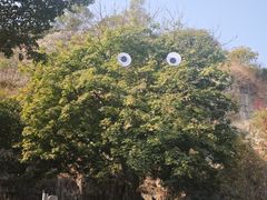 -仙岳公园