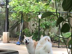 -TrueLove @ Neverland (Husky Cafe)
