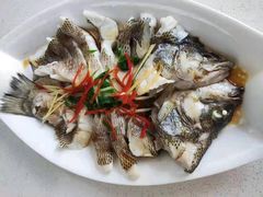 -优护优家Ucare月嫂育儿嫂陪伴师(静安店)