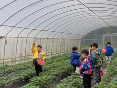 -洪湖家庭农场·团建·露营·会议