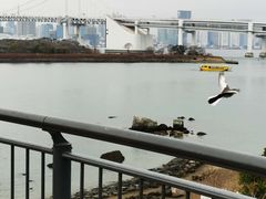 -台场海滨公园船码头