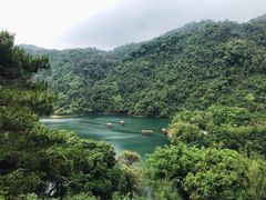 -鼎湖山风景区