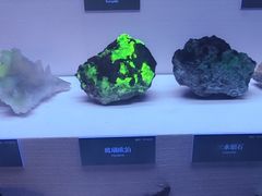 -湖南省地质博物馆