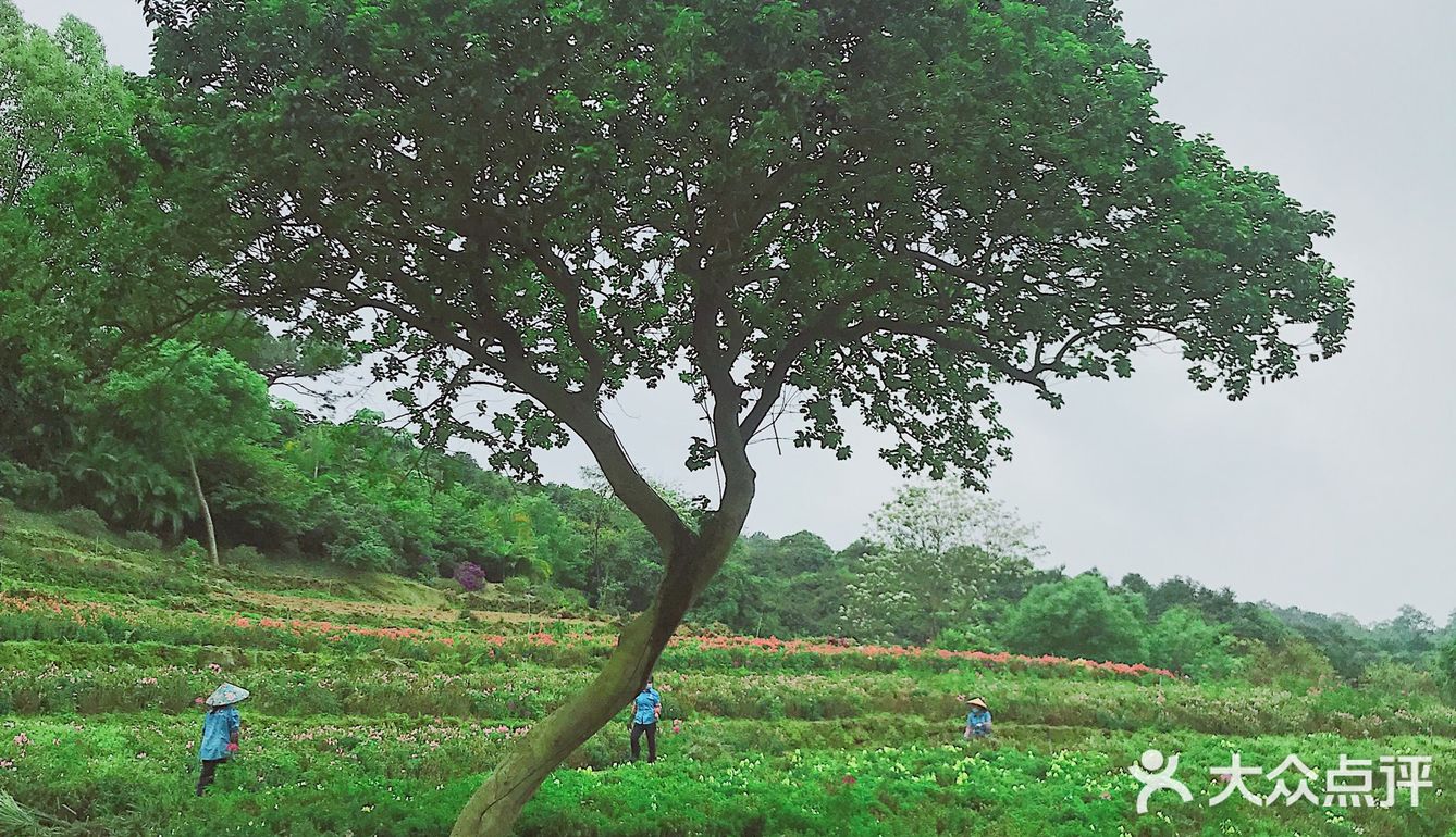 周末放假肯定要去逛公园呀