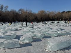 -长春市南湖公园