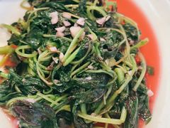 -稻香村鱼庄