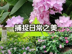 -常州古运河南大街文化旅游区-人民公园