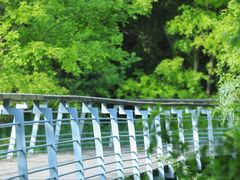 -西湖风景区-江洋畈生态公园