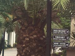 -厦门悦华酒店
