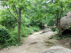 景点-灵岩山风景区