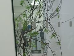 -极简口腔(总院)