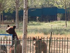 -秦皇岛野生动物园