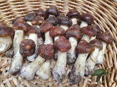 -华冠悠岚·庭院餐厅(青城后山店)