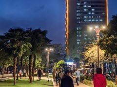 -洛阳市牡丹公园