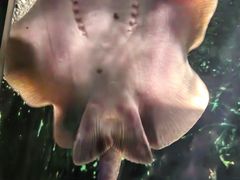 -常州海昌海洋探索馆