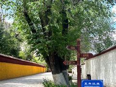 -罗布林卡