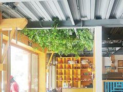 -金塔傣乡·云南民族特色菜·傣味手抓饭(金瓦路店)