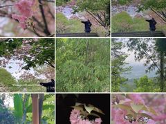 -南山植物园