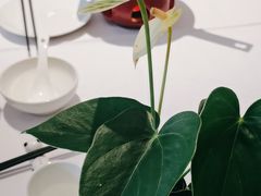 -眉州东坡(通州店)