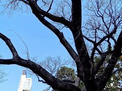 -九龙公园