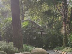 -融汇温泉