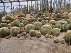 -南通洲际绿博园