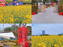 -光明小镇欢乐田园